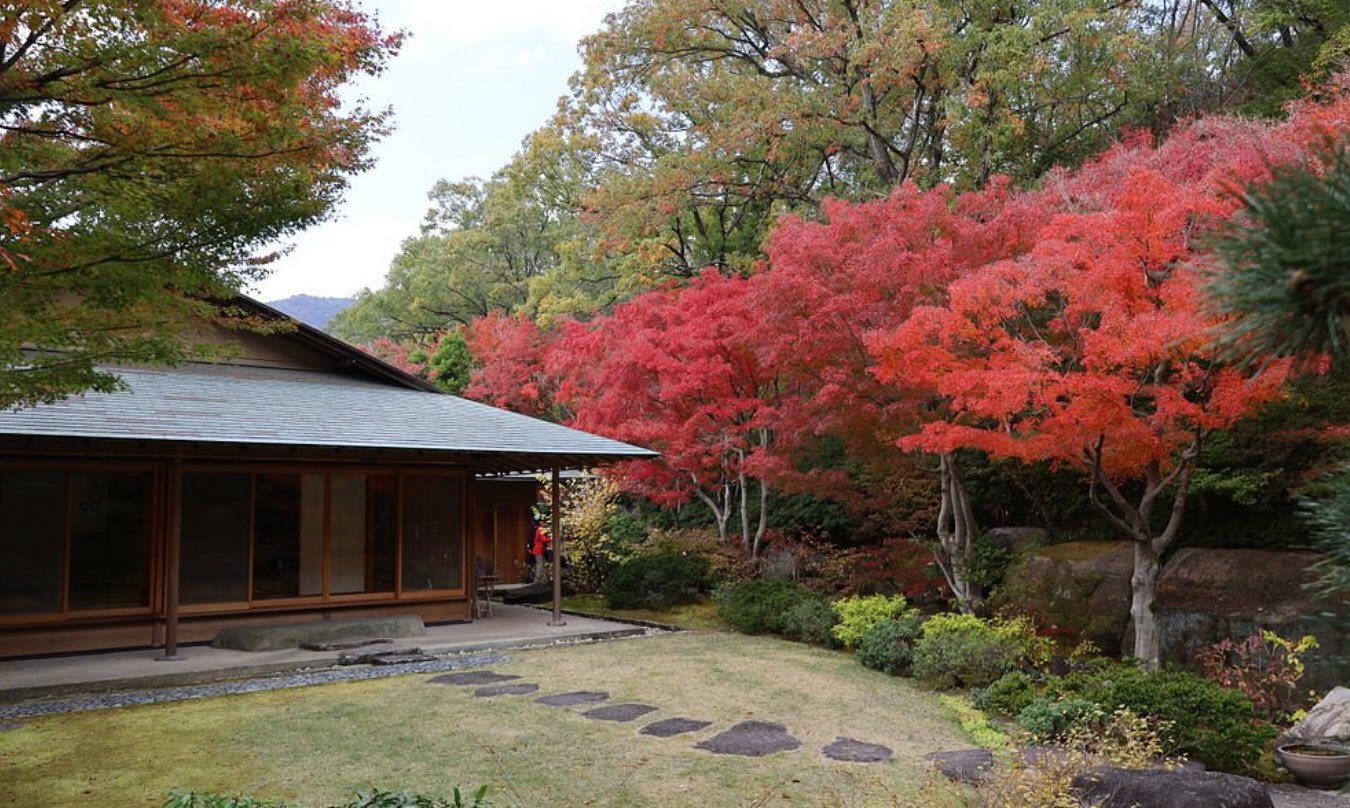 Kitayama Botanical Garden, Nishinomiya, Japan, Japan
